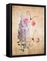 Butterfly Botanical I-Debra Van Swearingen-Framed Stretched Canvas