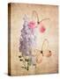 Butterfly Botanical I-Debra Van Swearingen-Stretched Canvas