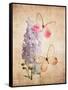 Butterfly Botanical I-Debra Van Swearingen-Framed Stretched Canvas