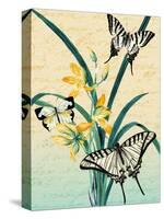 Butterfly Botanical Yellow Flowers Collage-Piddix-Stretched Canvas