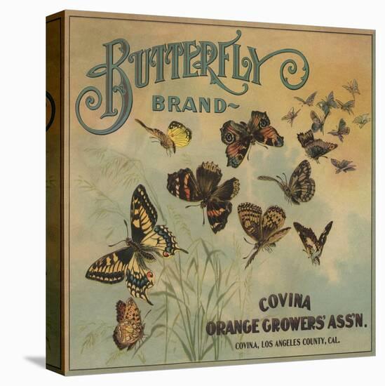 Butterfly Brand - Covina, California - Citrus Crate Label-Lantern Press-Stretched Canvas