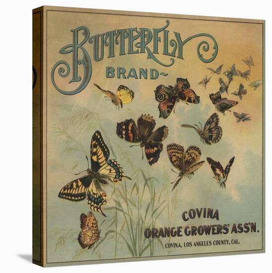Butterfly Brand - Covina, California - Citrus Crate Label-Lantern Press-Stretched Canvas