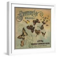 Butterfly Brand - Covina, California - Citrus Crate Label-Lantern Press-Framed Art Print