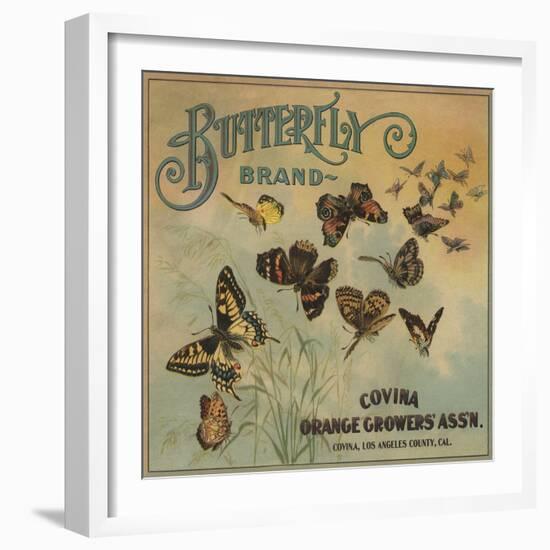 Butterfly Brand - Covina, California - Citrus Crate Label-Lantern Press-Framed Art Print