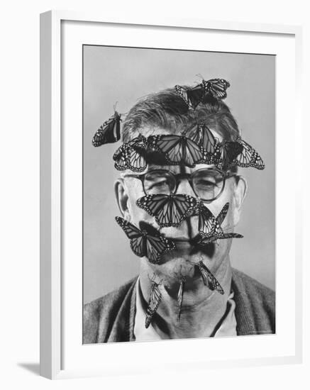 Butterfly Breeder Carl A. Anderson with Monarch Butterflies on His Face-John Dominis-Framed Photographic Print