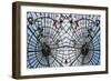 Butterfly Cage, 2014-Ant Smith-Framed Giclee Print