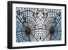 Butterfly Cage, 2014-Ant Smith-Framed Giclee Print