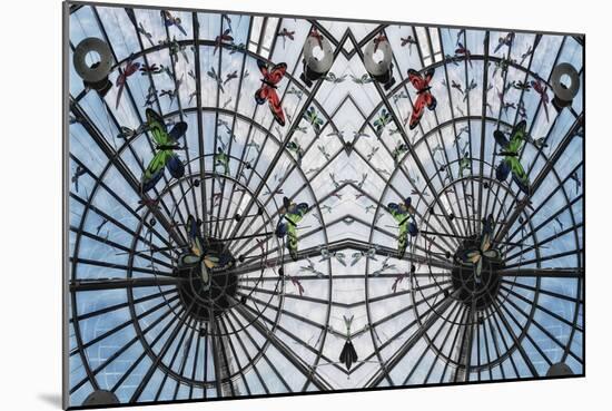 Butterfly Cage, 2014-Ant Smith-Mounted Giclee Print