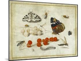 Butterfly, Caterpillar, Moth, Insects and Currants, c.1650-65-Jan Van, The Elder Kessel-Mounted Giclee Print