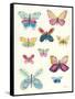 Butterfly Charts I-Courtney Prahl-Framed Stretched Canvas