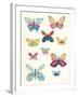 Butterfly Charts I-Courtney Prahl-Framed Art Print