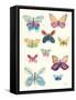 Butterfly Charts I-Courtney Prahl-Framed Stretched Canvas