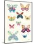 Butterfly Charts I-Courtney Prahl-Mounted Art Print