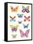 Butterfly Charts II-Courtney Prahl-Framed Stretched Canvas