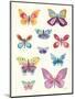 Butterfly Charts II-Courtney Prahl-Mounted Art Print