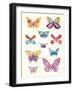 Butterfly Charts II-Courtney Prahl-Framed Art Print