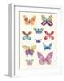 Butterfly Charts II-Courtney Prahl-Framed Art Print