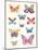 Butterfly Charts II-Courtney Prahl-Mounted Art Print