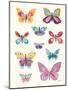 Butterfly Charts II-Courtney Prahl-Mounted Art Print