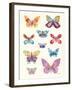Butterfly Charts II-Courtney Prahl-Framed Art Print