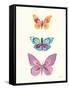 Butterfly Charts III-Courtney Prahl-Framed Stretched Canvas