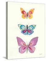 Butterfly Charts III-Courtney Prahl-Stretched Canvas