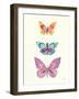 Butterfly Charts III-Courtney Prahl-Framed Art Print