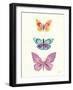 Butterfly Charts III-Courtney Prahl-Framed Art Print