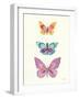 Butterfly Charts III-Courtney Prahl-Framed Art Print