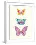 Butterfly Charts III-Courtney Prahl-Framed Art Print