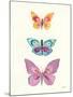 Butterfly Charts III-Courtney Prahl-Mounted Art Print