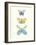 Butterfly Charts IV-Courtney Prahl-Framed Art Print