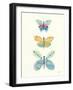 Butterfly Charts IV-Courtney Prahl-Framed Art Print