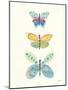 Butterfly Charts IV-Courtney Prahl-Mounted Art Print