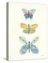 Butterfly Charts IV-Courtney Prahl-Stretched Canvas