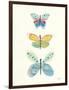 Butterfly Charts IV-Courtney Prahl-Framed Art Print