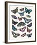 Butterfly Cloud-Clara Wells-Framed Giclee Print