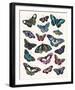 Butterfly Cloud-Clara Wells-Framed Giclee Print