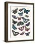 Butterfly Cloud-Clara Wells-Framed Art Print