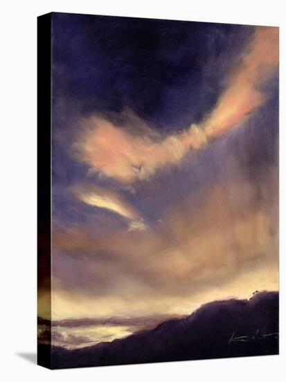 Butterfly Clouds, 2002-Antonia Myatt-Stretched Canvas