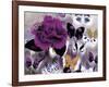 Butterfly Collage Magenta-Evangeline Taylor-Framed Art Print