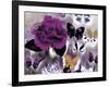 Butterfly Collage Magenta-Evangeline Taylor-Framed Art Print