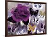 Butterfly Collage Magenta-Evangeline Taylor-Framed Art Print