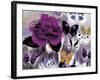 Butterfly Collage Magenta-Evangeline Taylor-Framed Art Print