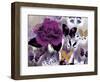 Butterfly Collage Magenta-Evangeline Taylor-Framed Art Print