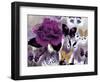 Butterfly Collage Magenta-Evangeline Taylor-Framed Art Print