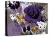 Butterfly Collage Purple-Evangeline Taylor-Stretched Canvas