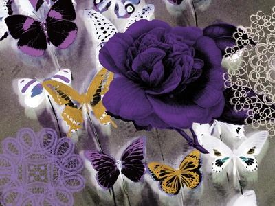 https://imgc.allpostersimages.com/img/posters/butterfly-collage-purple_u-L-Q1IDNBH0.jpg?artPerspective=n