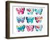 Butterfly Collage-null-Framed Giclee Print