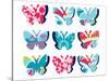 Butterfly Collage-null-Stretched Canvas